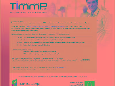 www.timmp.pl - kliknij, aby powiększyć