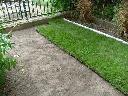 Trawnik przy ogrodzeniu