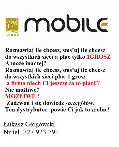 Dołącz do FM Group! Zarabiaj bawiąc się! Działaj w MLM!, PoznańCała Polska, wielkopolskie