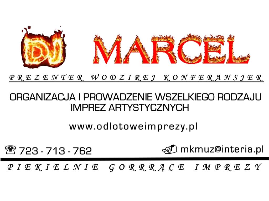 ŚPIEWAJĄCY SOBOWTÓR  ,  DJ ,   ZESPÓL MUZYCZNY  