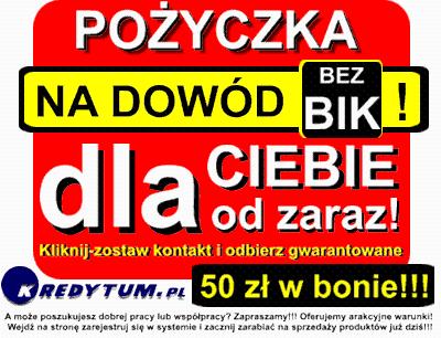 Pożyczki,kredyty,leasing,ubezpieczenia,szkolenia BHP,bez BIK,bez ZUS, Pabianice, łódzkie