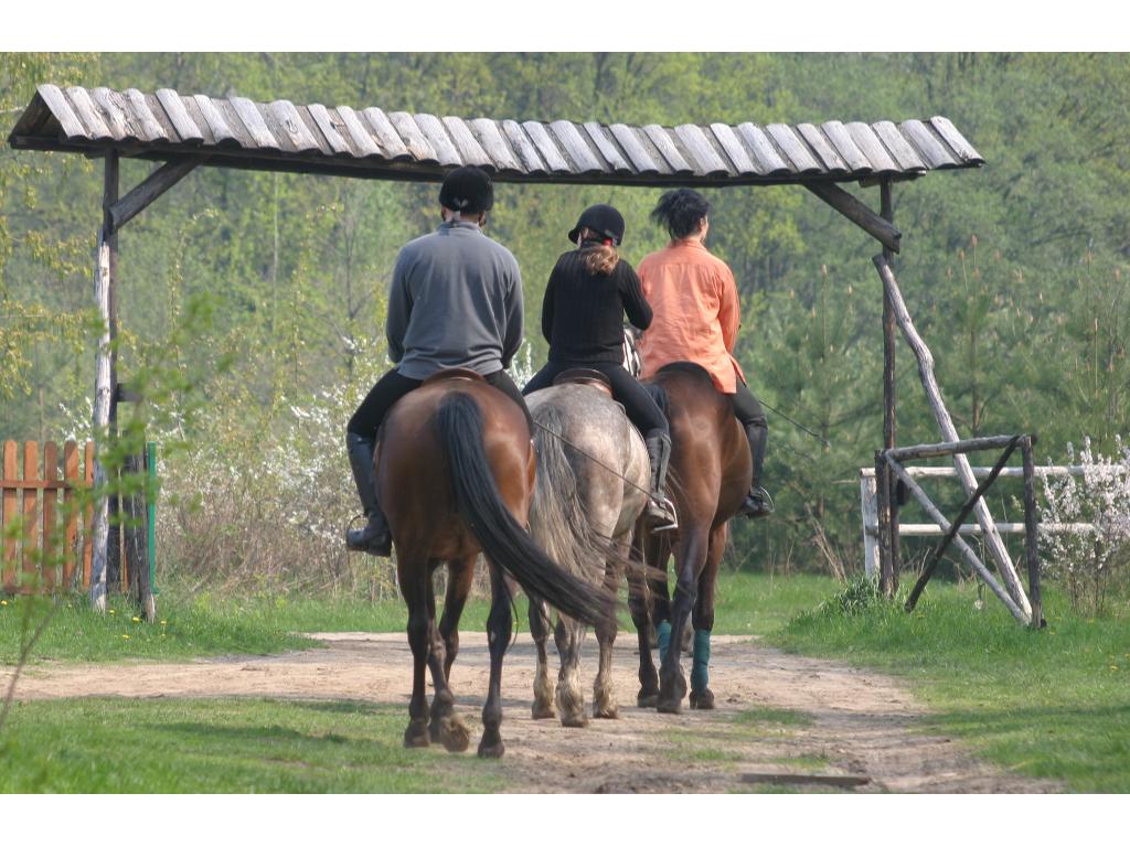 Obozy konne-Puszcza kampinoska- Blisko W-wy, Leoncin, mazowieckie