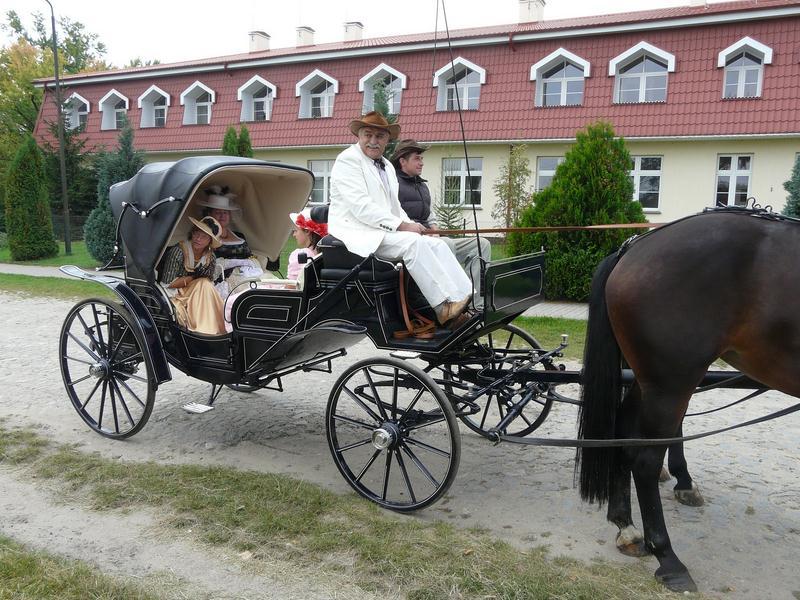 Bryczka na Ślub Wrocław i okolice , Wroclaw, dolnośląskie