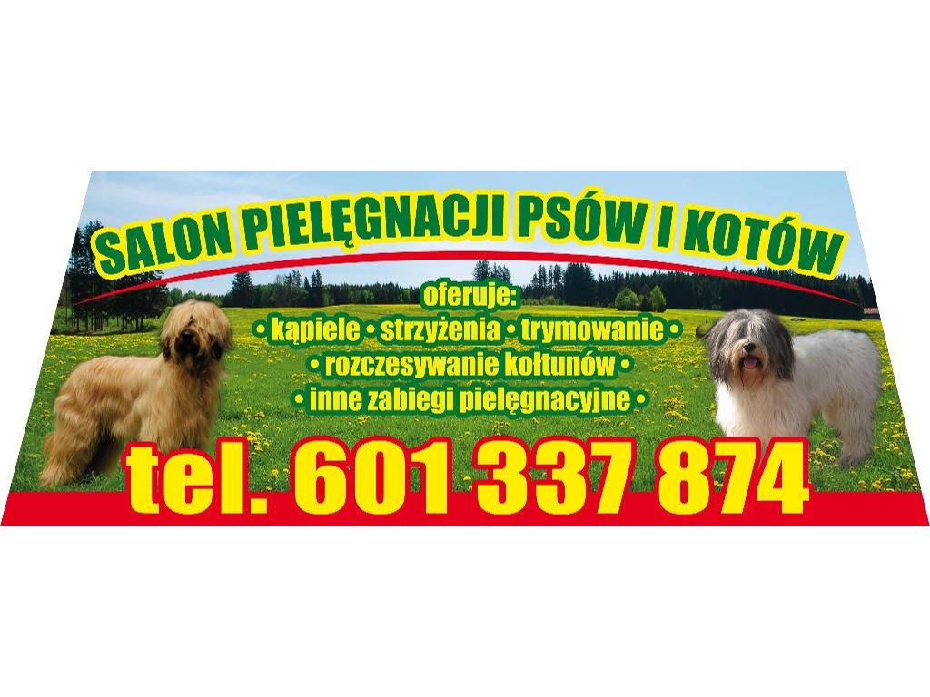 Salon pielęgnacji psów i kotów, Dobra, małopolskie