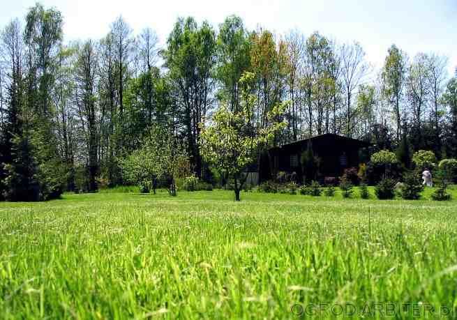 Koszenie trawy, projektowanie i pielęgnacja ogrodów, Wieliczka, Kraków, małopolskie