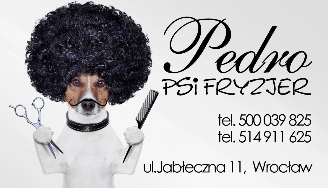 PEDRO Psi Fryzjer - Profesjonalne Strzyżenie Psów Wrocław, dolnośląskie