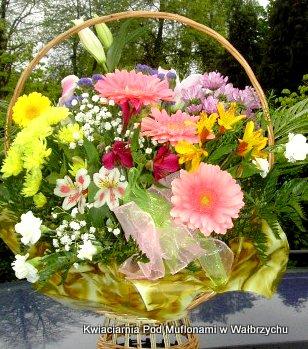 Barwne kwiaty z dostawą -Wałbrzych i okolice, -Wałbrzych,okolice, dolnośląskie
