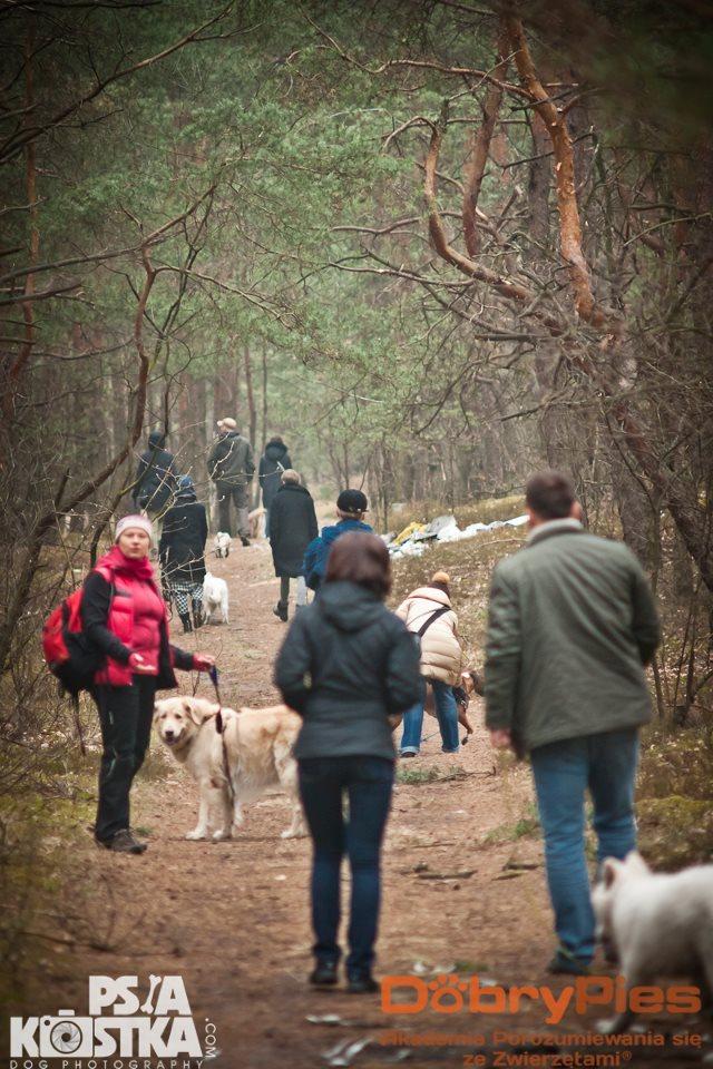 Szkolenie psów, tresura, przedskole dla psów, tropienie, behawiorysta, Warszawa, mazowieckie