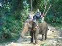 Trekking na słoniach Phuket i Pattaya