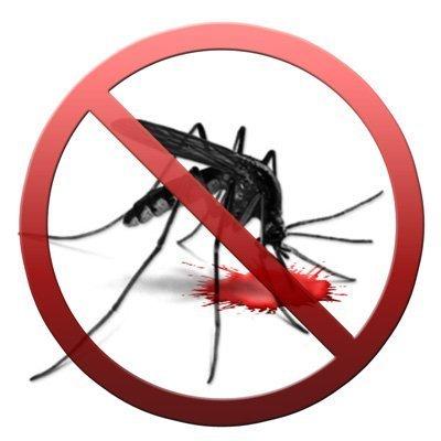 Odkomarzanie, odkomarzamy, zwalczanie komarów, komary, Poznań, wielkopolskie