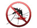 odkomarzanie, odkomarzamy, zwalczanie komarów, komary, Poznań, wielkopolskie
