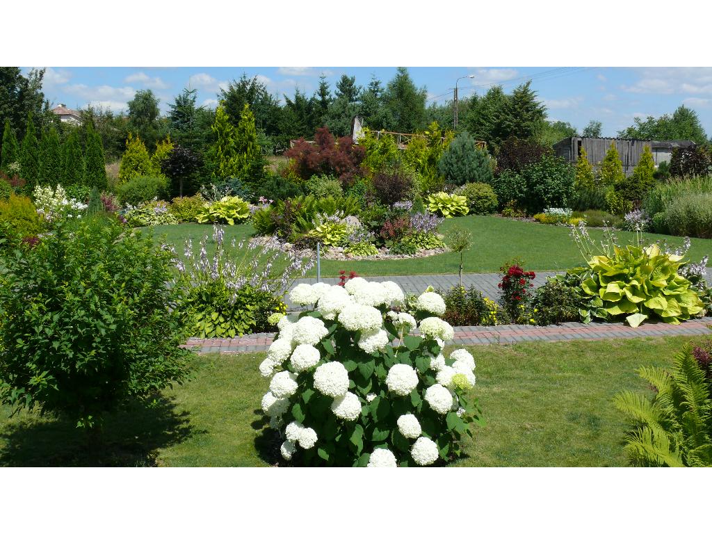 Ogrody lublin ,pielęgnacja ogrodów lublin ,zakładanie ogrodów , lubelskie