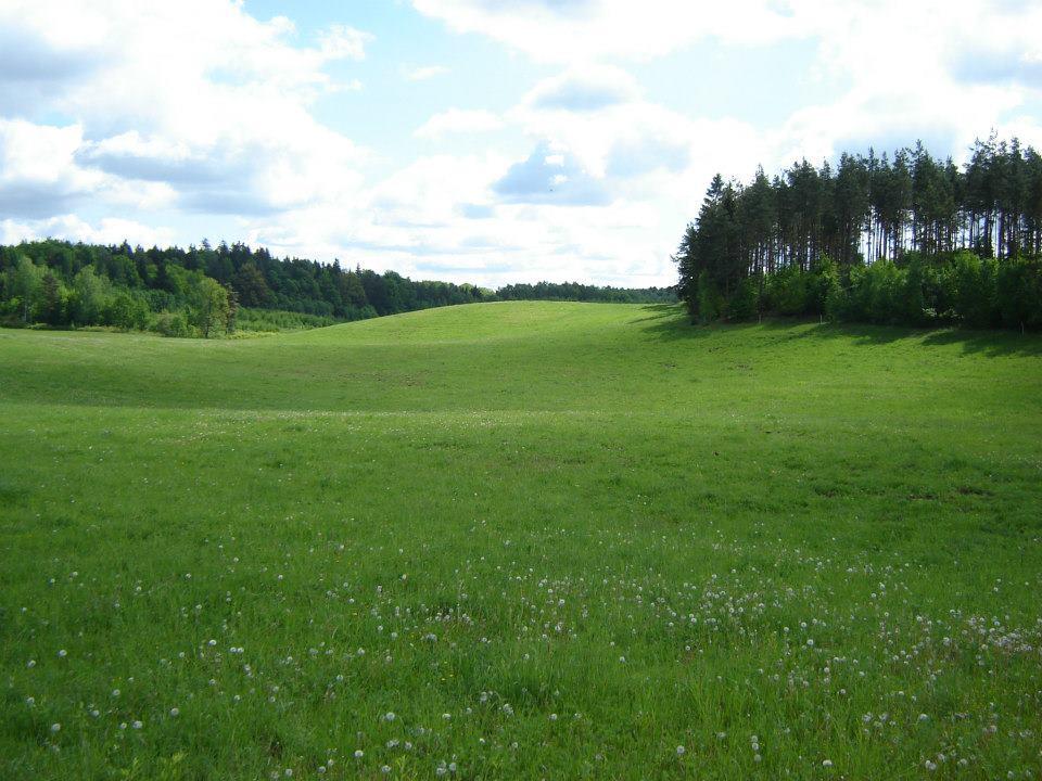 Działki na Warmii i Mazurach za ułamek wartości.