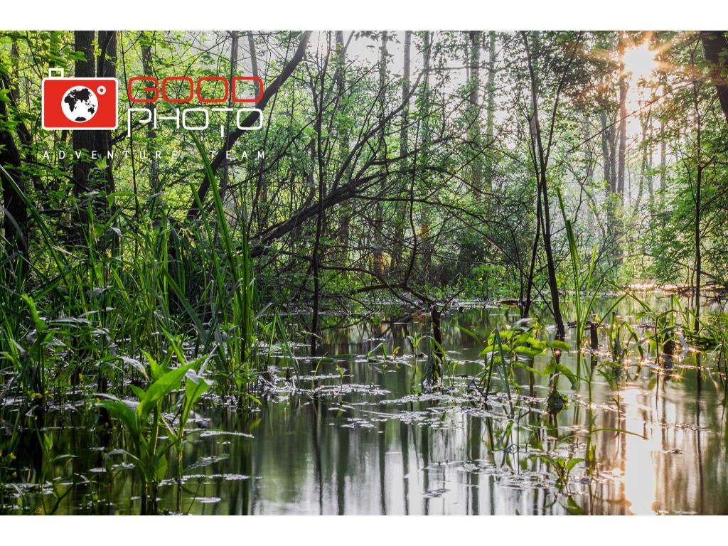 SZKOLENIA I WARSZTATY FOTOGRAFICZNE CERTYFIKATY, Warszawa, mazowieckie