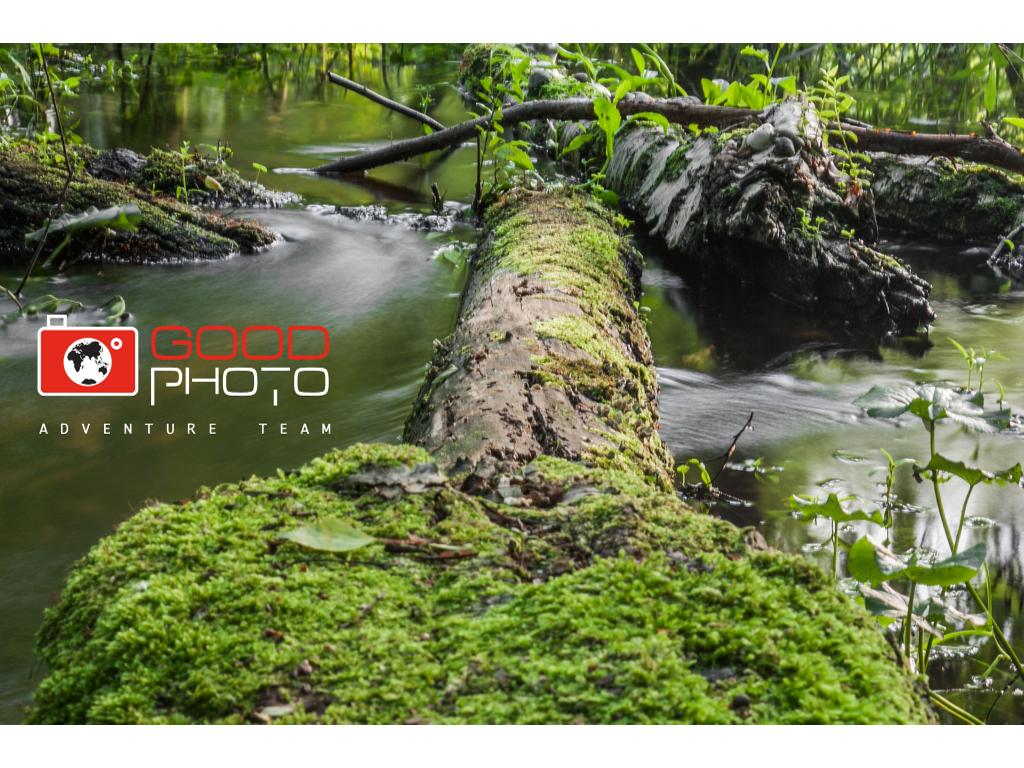 SZKOLENIA I WARSZTATY FOTOGRAFICZNE CERTYFIKATY, Warszawa, mazowieckie