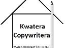 Copywriter, seo, precle, pozycjonowanie, teksty, artykuły, copywriting