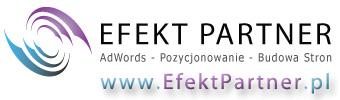 Efekt Partner Budowa Stron, Pozycjonowanie, AdWords, Banery