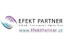 Efekt Partner Budowa Stron, Pozycjonowanie, AdWords, Banery