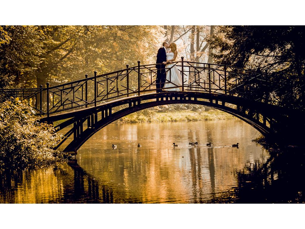  Fotografia ślubna śląsk www.knieja.info całaPL, Cała Polska, Myszków,Zawiercie,Częstochowa, śląskie