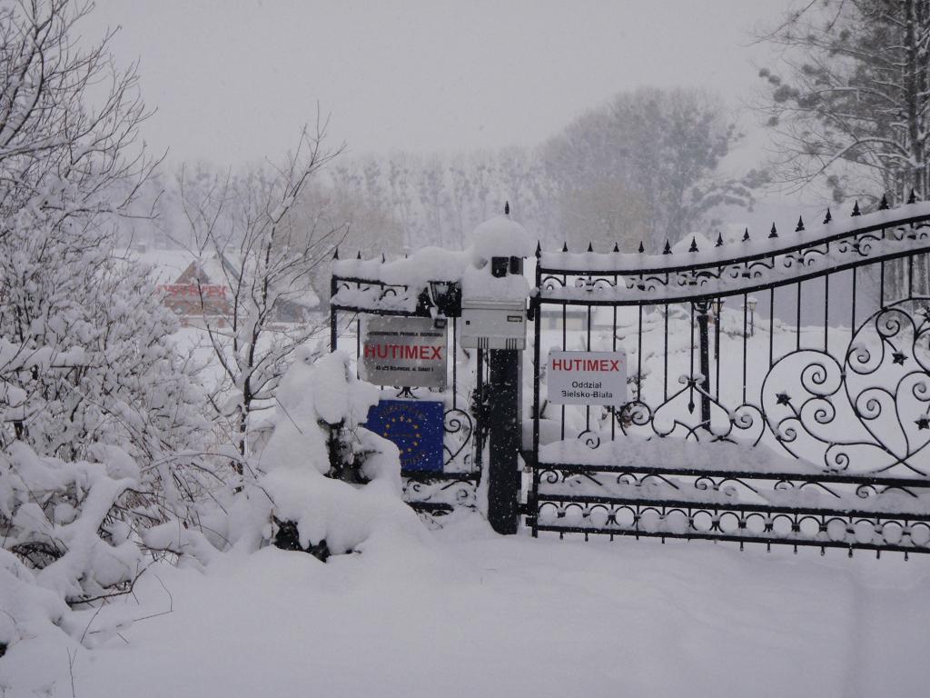 Deska, kantówka, tarcica budowlana, deska szalunkowa, przenośniki,