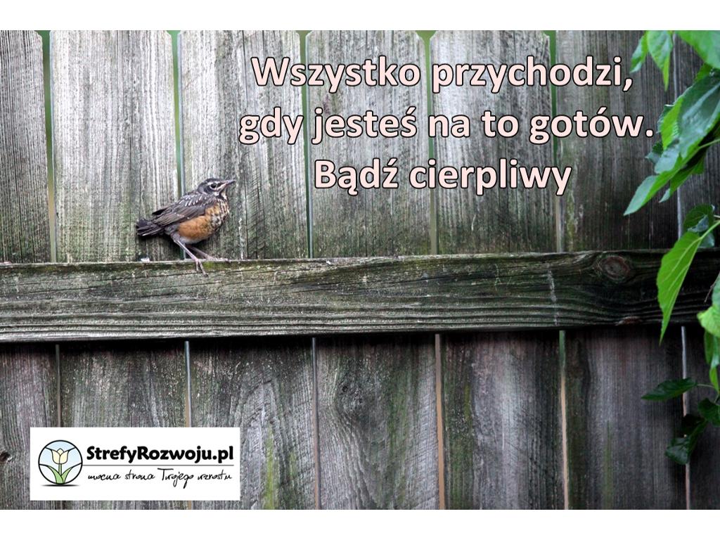 Coaching, rozwój osobisty i rozwój zawodowy,, Cieszyn, śląskie