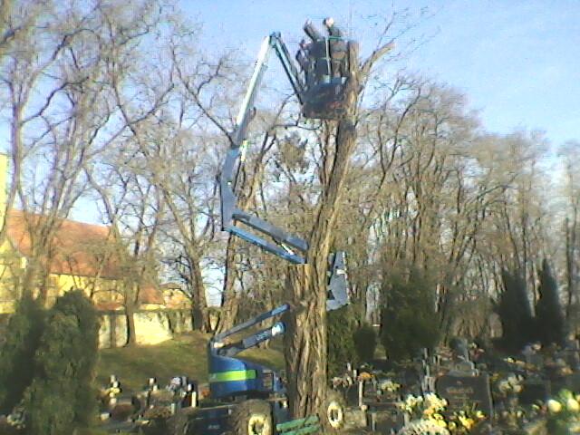 Usługi podnośnikiem koszowym,podnośnik nożycowy,koszowy,8,10,12,25m, Legnica, dolnośląskie