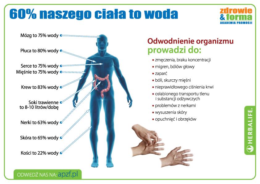 Człowiek składa się z wody w ponad 60%