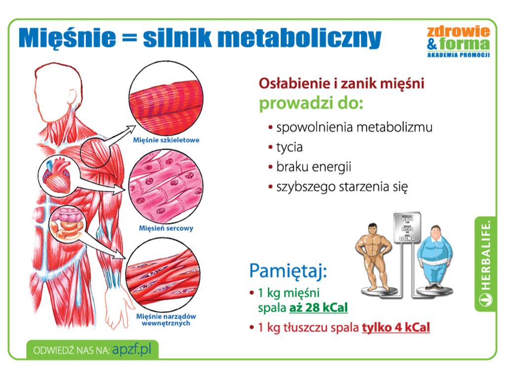 Mięśnie to Twój silnik metaboliczny
