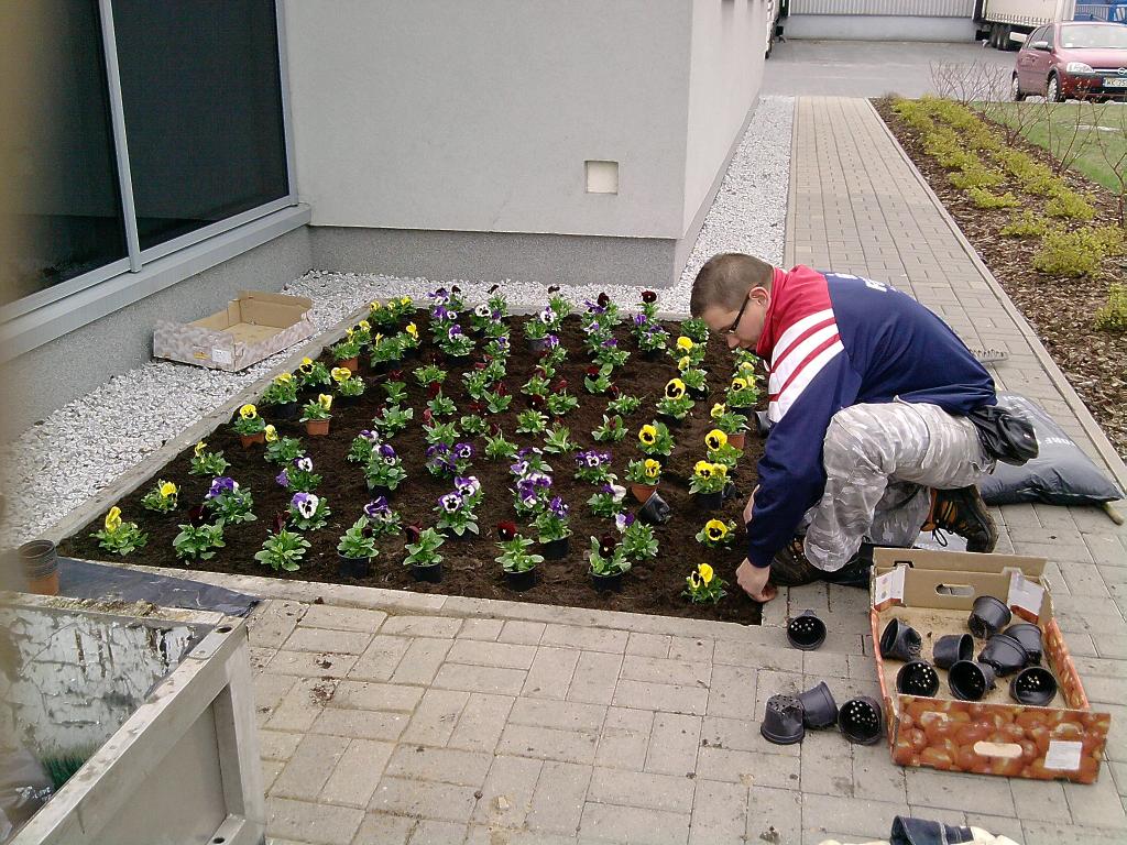   ZAKŁADANIE OGRODÓW ,UKŁADANIE KOSTKI, Pruszkow, mazowieckie