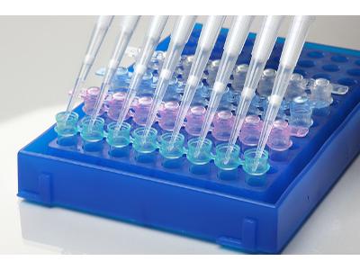  PCR  nowoczesna i niezawodna technika diagnostyczna