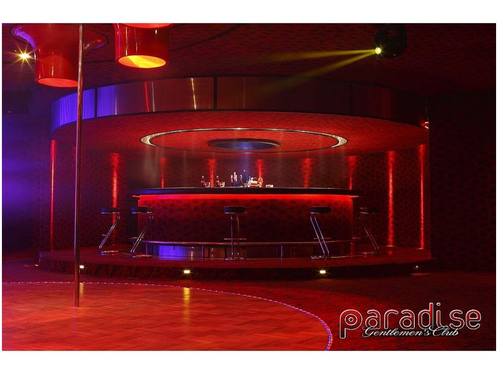 bar-paradise club Cracow