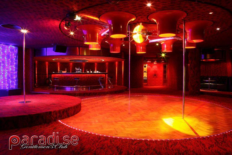 Paradise Club Forum Kraków  Go- Go Klub, Strip club, Erotic ,Cracow, małopolskie