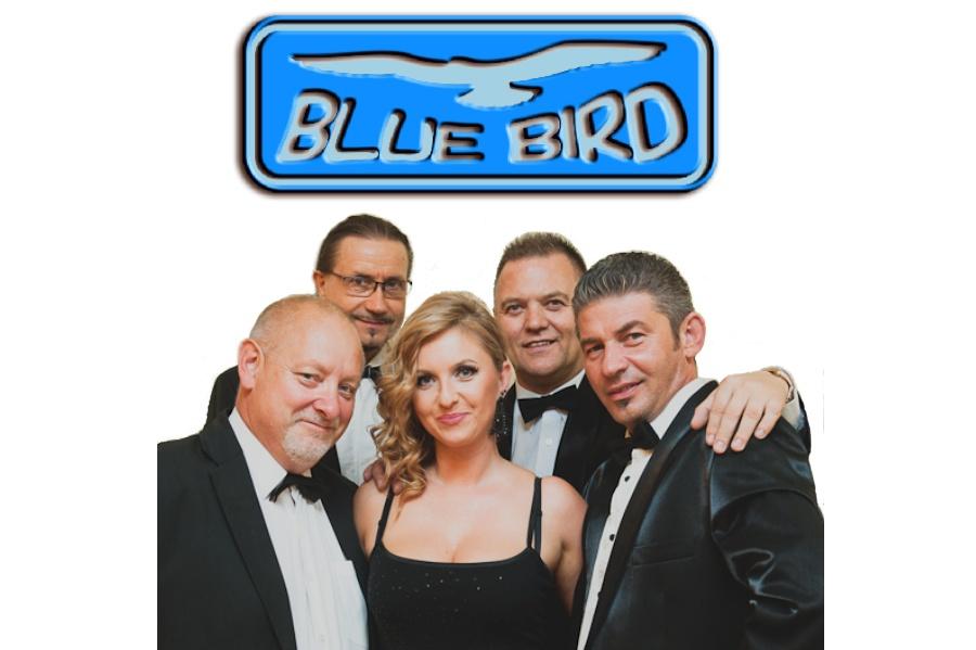 Zespół Muzyczny na wesele BLUE BIRD, Bydgoszcz, kujawsko-pomorskie