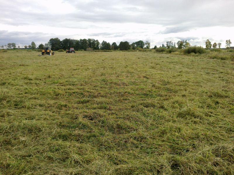 ODŚNIEŻANIE PŁUGIEM SŁAWNO DARŁOWO KOSZALIN SŁUPSK, MALECHOWO, DARŁOWO, SŁAWNO, KOSZALIN I OKOLICE, zachodniopomorskie