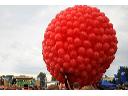Kula z 1000 balonów w siatce