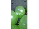 Impel Volleyball Wrocław balony z nadrukiem