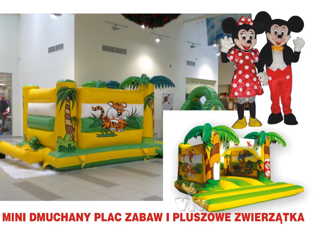 Organizacja imprez dla dzieci i mlodziezy,festyny,pikniki, Inowroclaw, kujawsko-pomorskie