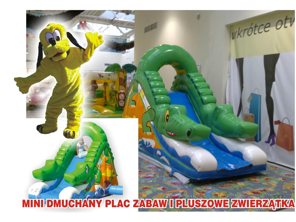 Organizacja imprez dla dzieci i mlodziezy,festyny,pikniki, Inowroclaw, kujawsko-pomorskie