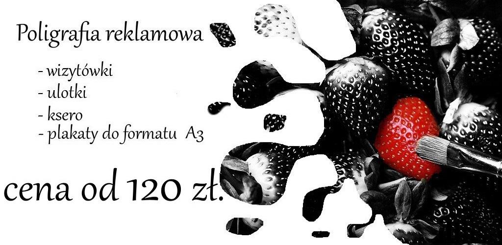 Tworzenie stron www, poligrafia reklamowa i grafika, Kozienice, mazowieckie