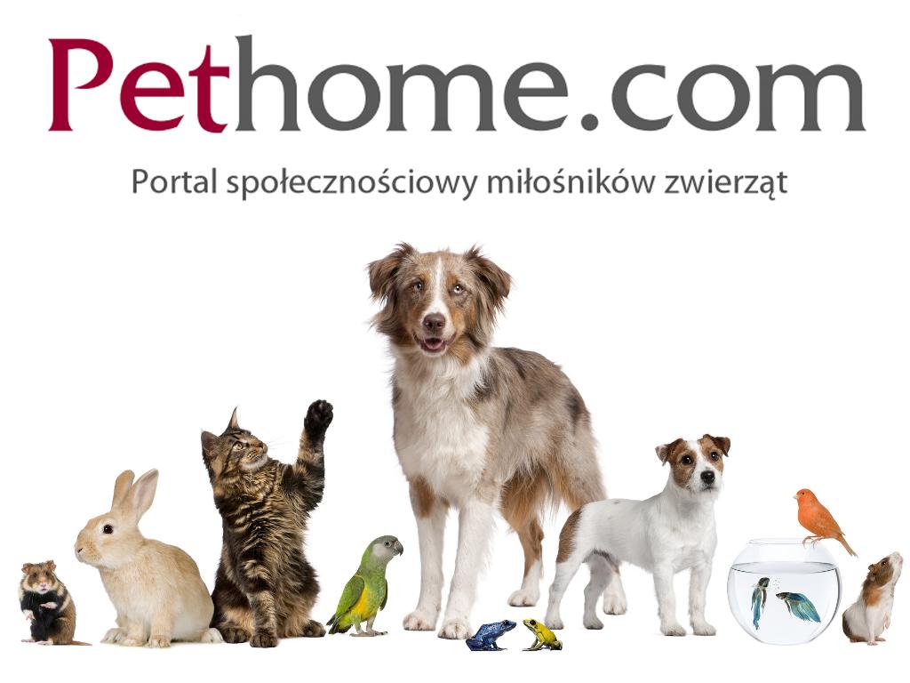 Pethome.com - portal społecznościowy miłośników zwierząt
