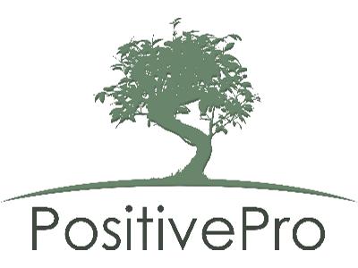 PositivePro - szkolenia z PRINCE2, COBIT5, EVM. - kliknij, aby powiększyć