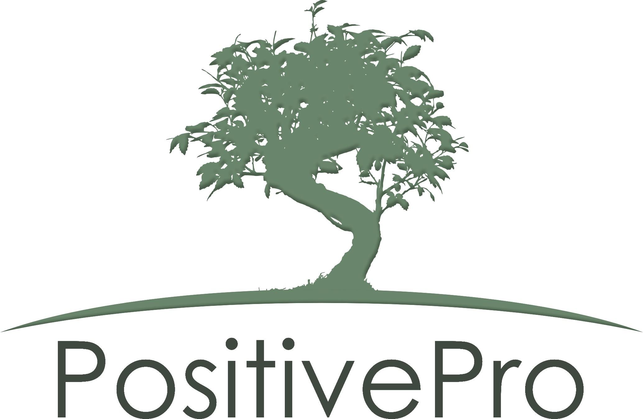 PositivePro - szkolenia z PRINCE2, COBIT5, EVM.