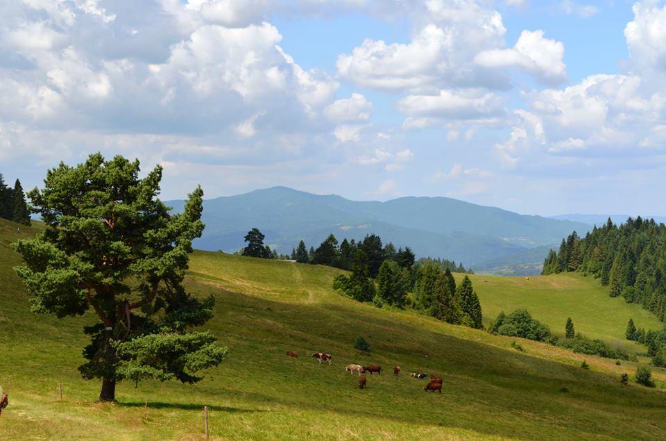 Widok z małych Pienin