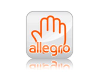 Profesjonalne spersonalizowane szablony allegro dla twojego Biznesu !, Wrocław, dolnośląskie