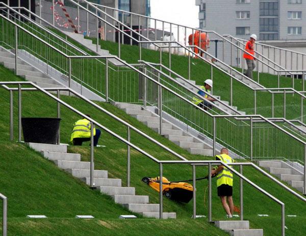 Usługi Koszenie trawy sprzątanie terenów wycinka drzew. Dobre Ceny!, Warszawa, Mazowieckie, mazowieckie