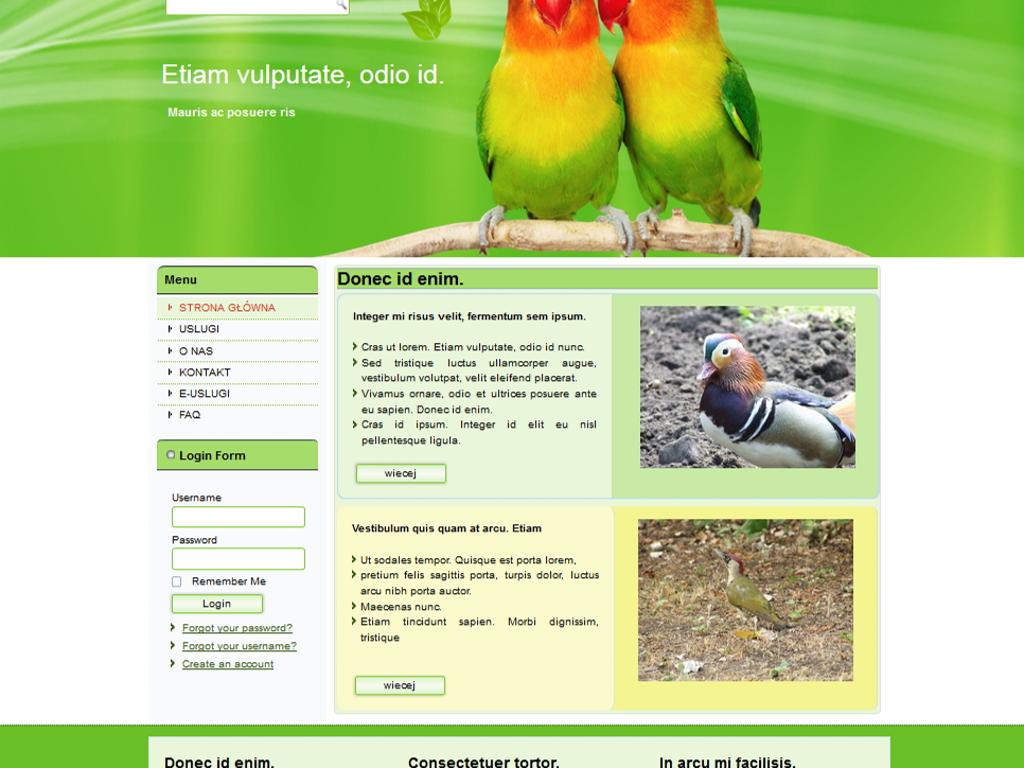 Strona internetowa WWW  z CMS  zgodna z W3C, HTML 5 i CSS 3