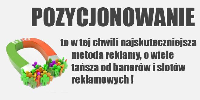 Profesjonalne POZYCJONOWANIE STRON WWW