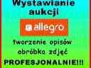 Wystawianie aukcji Allegro-obsługa sklepu internetowego,banery, cała Polska
