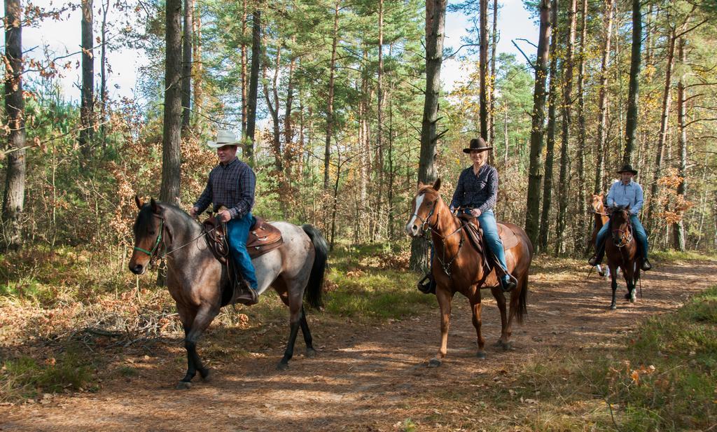 Noclegi, pobyty wypoczynkowe, ośrodek jezdziecki, konie, byk rodeo,, Mroczków  a, świętokrzyskie