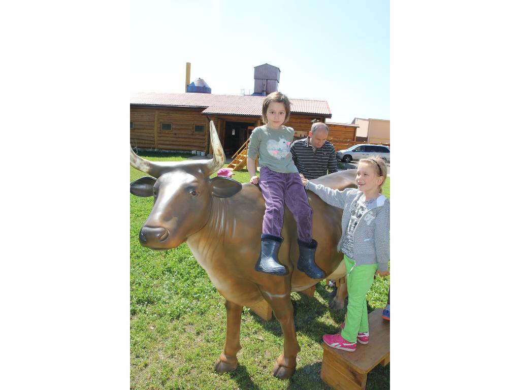 Noclegi, pobyty wypoczynkowe, ośrodek jezdziecki, konie, byk rodeo,, Mroczków  a, świętokrzyskie